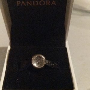 Pandora Charm